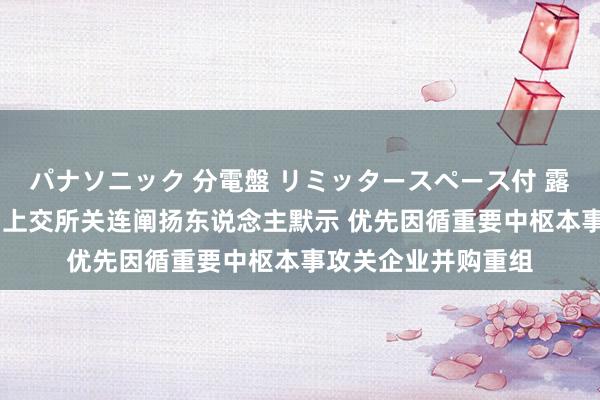 パナソニック 分電盤 リミッタースペース付 露出・半埋込両用形 上交所关连阐扬东说念主默示 优先因循重要中枢本事攻关企业并购重组