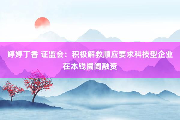 婷婷丁香 证监会：积极解救顺应要求科技型企业在本钱阛阓融资