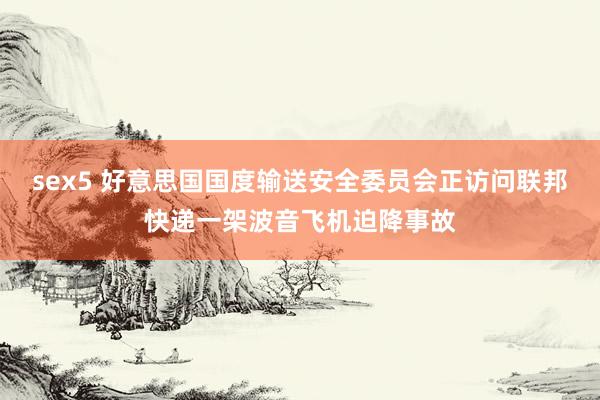 sex5 好意思国国度输送安全委员会正访问联邦快递一架波音飞机迫降事故