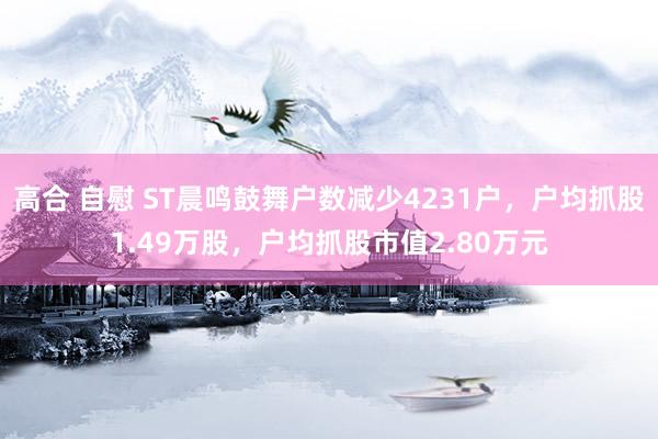 高合 自慰 ST晨鸣鼓舞户数减少4231户，户均抓股1.49万股，户均抓股市值2.80万元