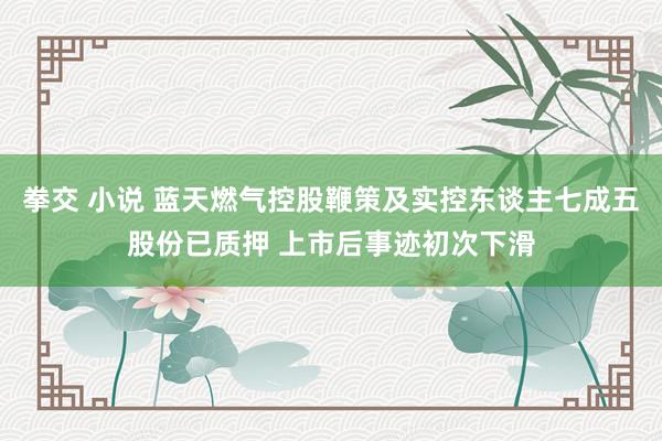 拳交 小说 蓝天燃气控股鞭策及实控东谈主七成五股份已质押 上市后事迹初次下滑