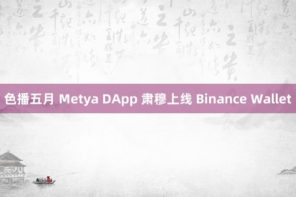 色播五月 Metya DApp 肃穆上线 Binance Wallet