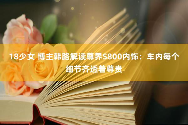 18少女 博主韩路解读尊界S800内饰：车内每个细节齐透着尊贵