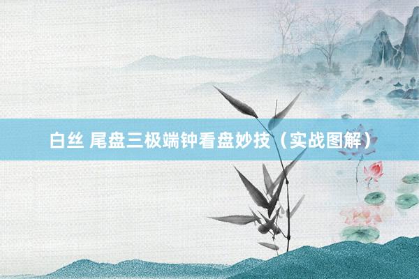 白丝 尾盘三极端钟看盘妙技（实战图解）
