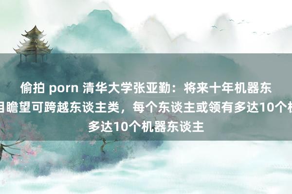 偷拍 porn 清华大学张亚勤：将来十年机器东谈主的数目瞻望可跨越东谈主类，每个东谈主或领有多达10个机器东谈主