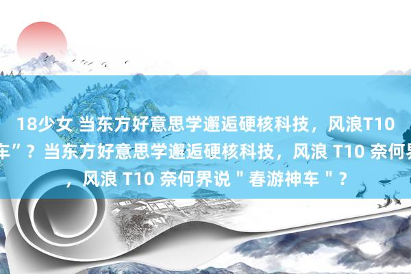18少女 当东方好意思学邂逅硬核科技，风浪T10奈何界说“春